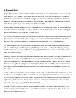 A Cracked Spirit.pdf